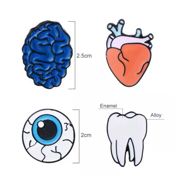 The Human Body - Picture 3 of 4